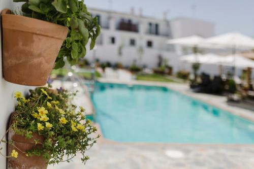 Hotel Entreolivos