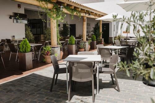 Hotel Entreolivos