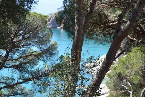 Apartamentos Cgc Cala Llevado