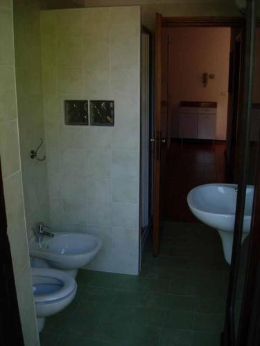 Apartments In Pieve Di Ledro/ledrosee 22646