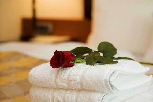Hotel Vip's Motel