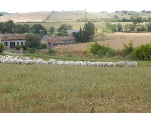 Agroturismo Piane Del Bagno