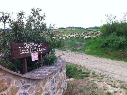 Agroturismo Piane Del Bagno