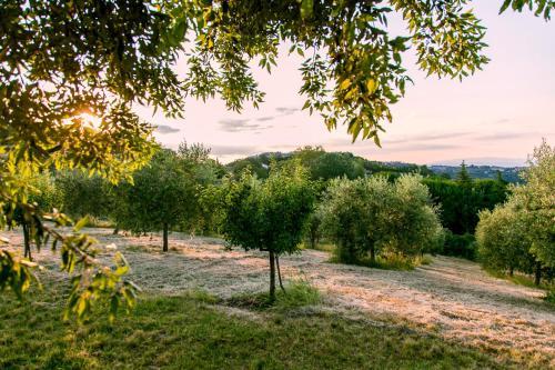 Agroturismo Il Gonzeto