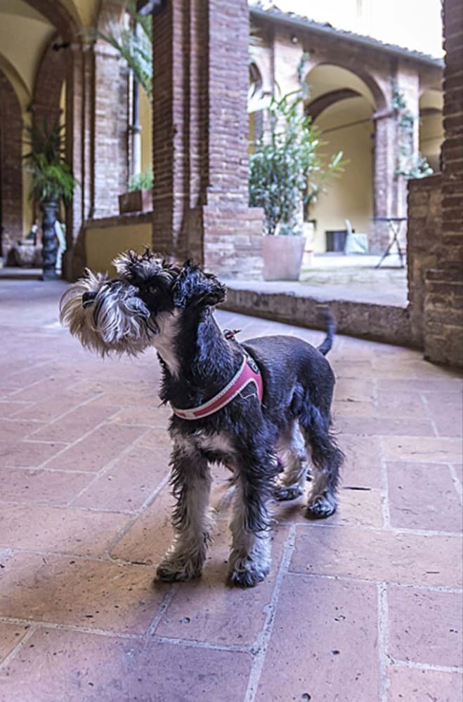Bed & Breakfast Il Chiostro Del Carmine