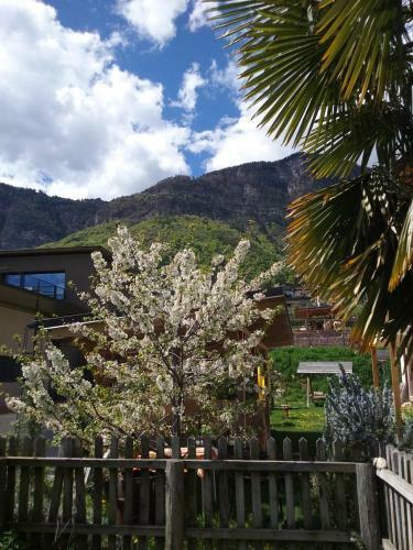 Apartamento Wiesm�llerhof
