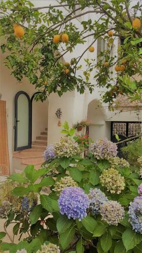 Hostal Sorrento Studios