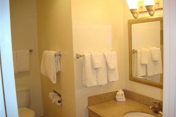 Hotel La Quinta Inn & Suites Tampa - Brandon West