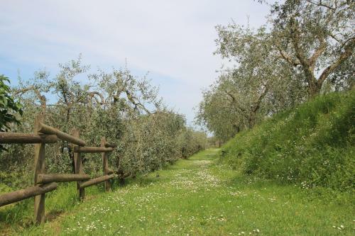 Agroturismo Romitorio Di Castiglione Del Lago
