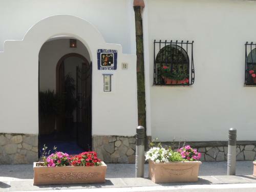 Hostal La Tavolozza Residence