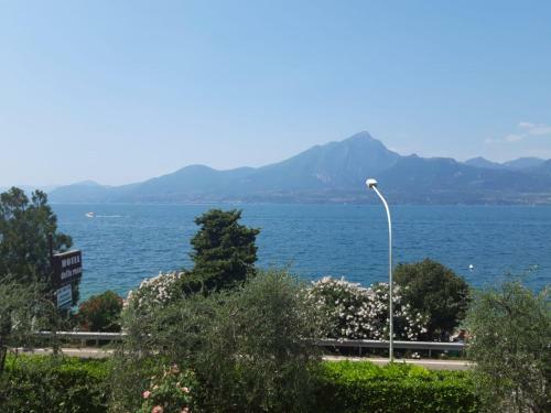 B&B Hotel Delle Rose