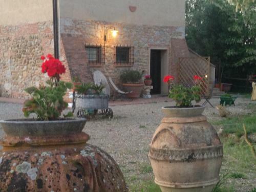Agroturismo Agriturismo Il Mulinaccio