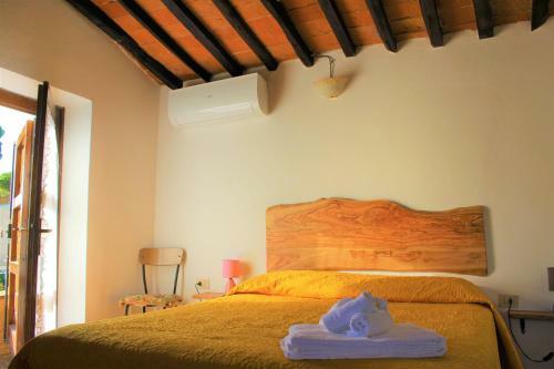 Agroturismo Agriturismo Podere Arundineto