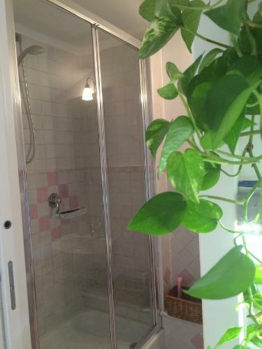 Apartamento Maison Rose