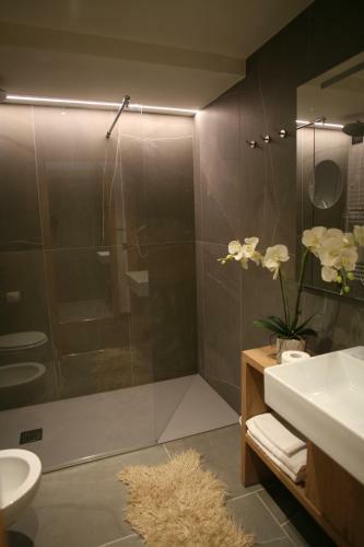 Alpen Hotel Vidi