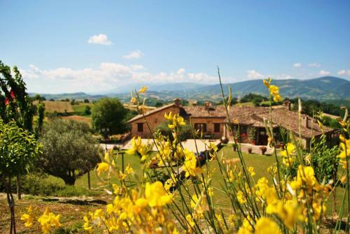 Agroturismo Agriturismo L'antico Oliveto