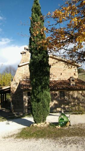 Agroturismo Agriturismo Il Bacucco