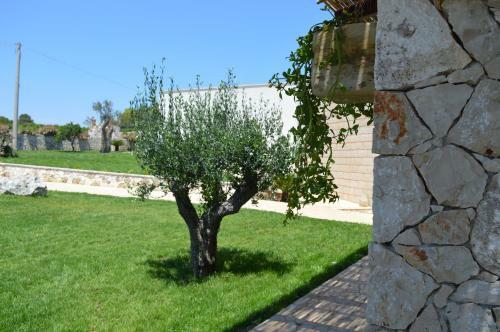 Agroturismo Agriturismo Casa Del Peperoncino