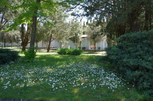 Agroturismo Colleverde Country House