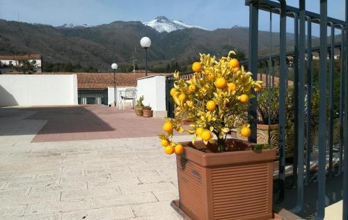 Cartoline Dall'etna B&B