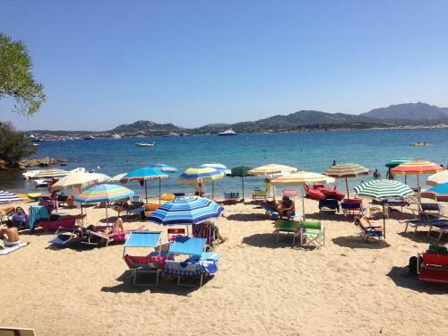 Luxury Apartment Sardegna