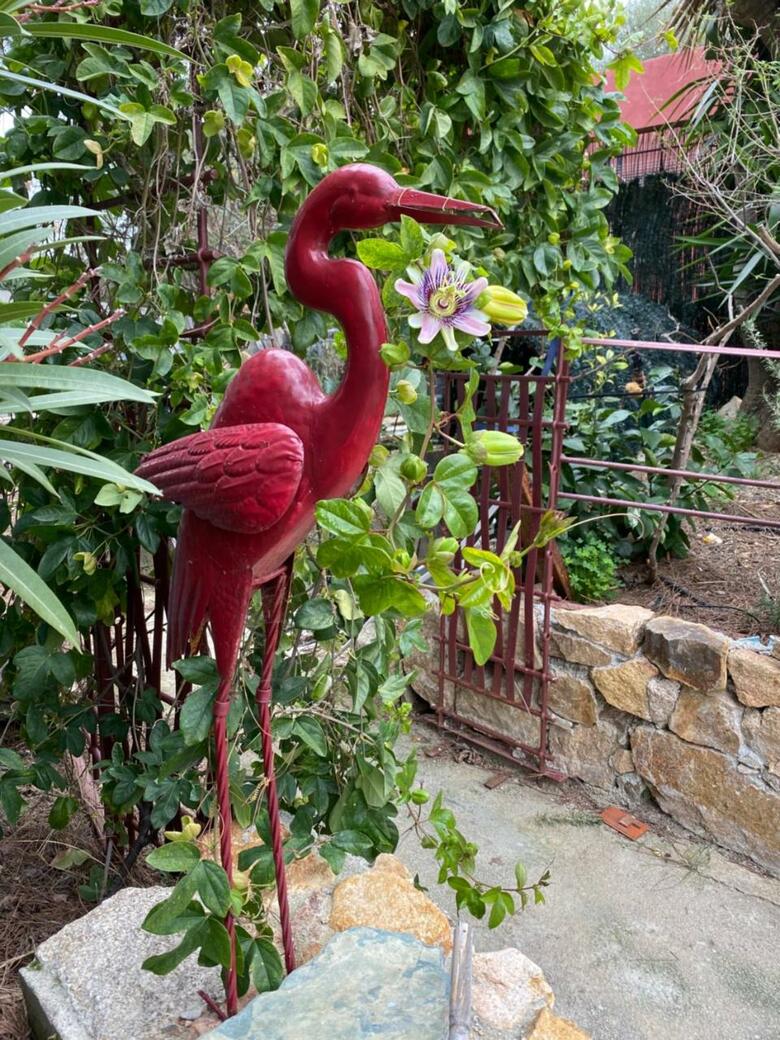 Bed & Breakfast Casa Di Floumy