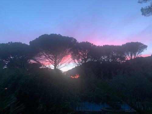 Apartamento Petit Appartement Pont Du Gard