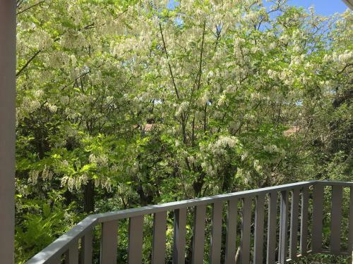 Hotel Bel Alp Manosque