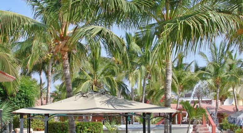 Hotel Buena Vista Beach Resort