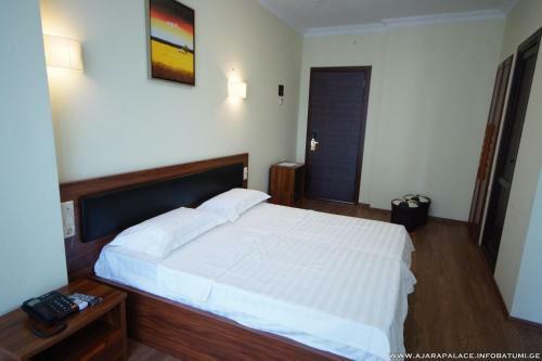 Hotel Ajara Palace