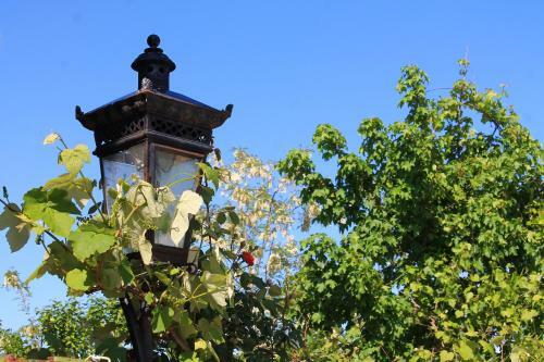 Bed & Breakfast Guest House Shota