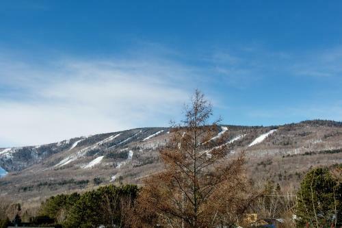 L'alpin
