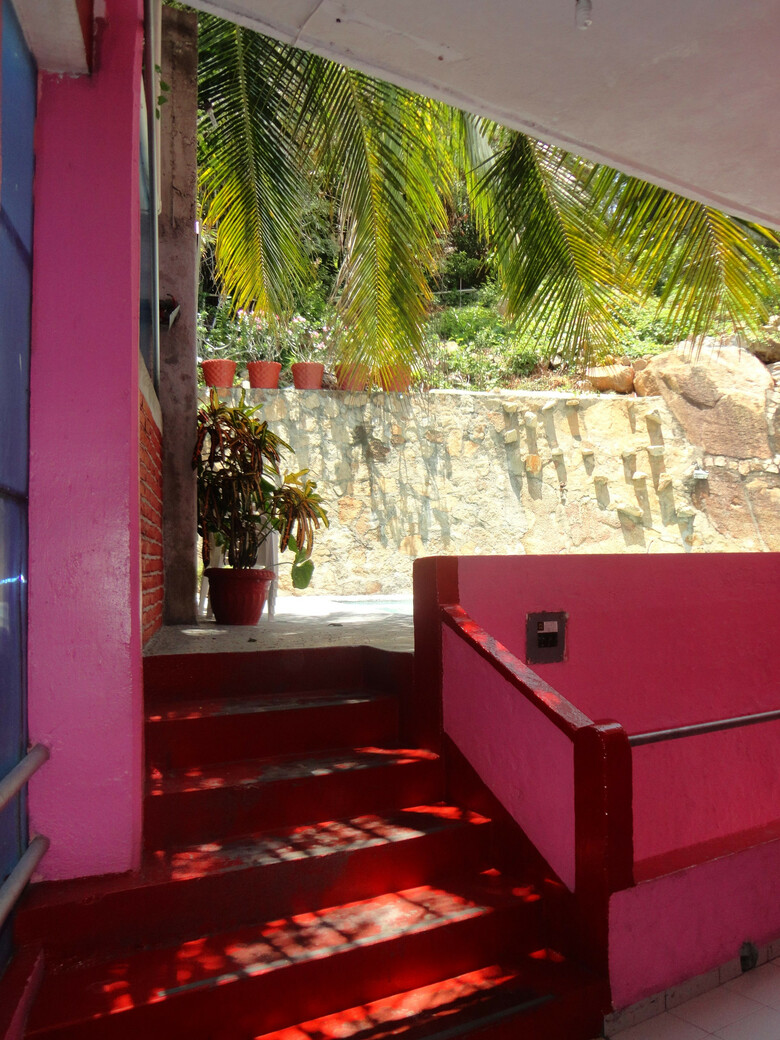 Hotel La Jungla