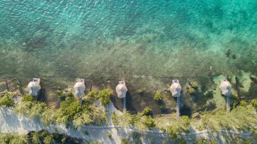 Hotel Thatch Caye Resort