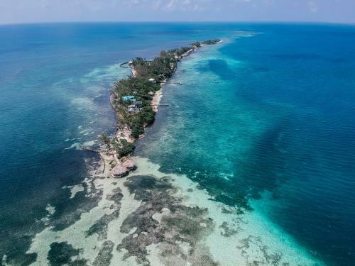 Hotel Thatch Caye Resort