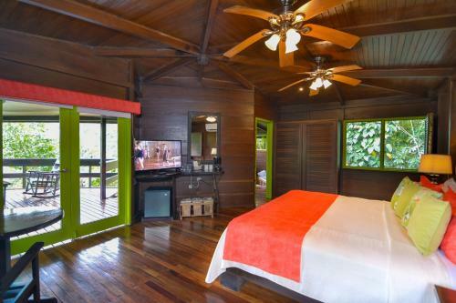Albergue Chachagua Rainforest Ecolodge