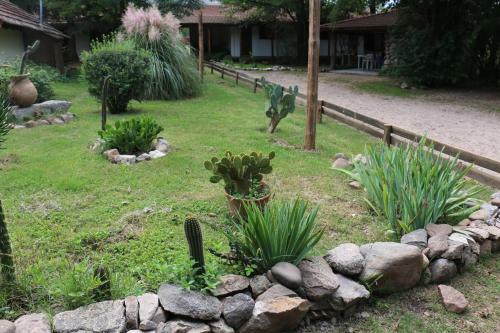 Lodge Tacuifi I