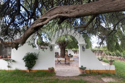 Finca El Retiro B&B