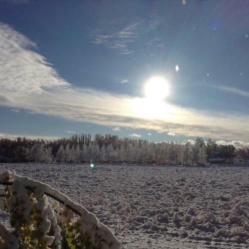 Bosque De Sol