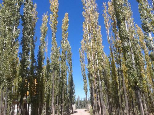 Bosque De Sol