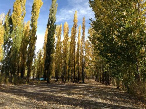 Bosque De Sol