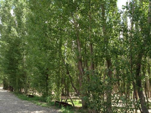 Bosque De Sol