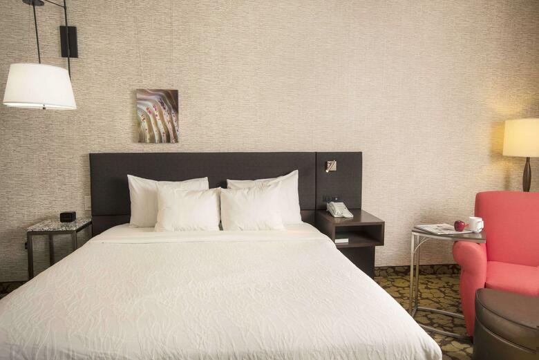Hotel Hilton Garden Inn Wisconsin Dells