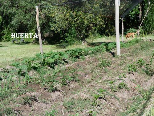 Agroturismo Caba�as Finca Don Jos�