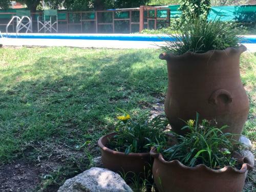 Hotel Complejo Najul Suites