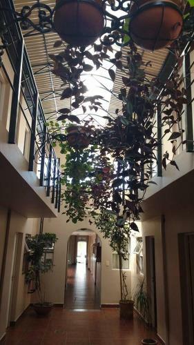 Bed & Breakfast El Aljibe