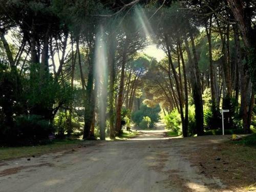 Aparthotel Las Cuatro Estaciones