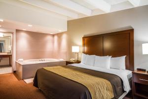 Hotel Comfort Inn & Suites Madison
