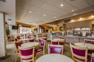 Hotel Comfort Inn & Suites Madison