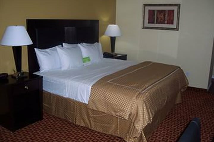 Hotel La Quinta Inn & Suites Blue Springs